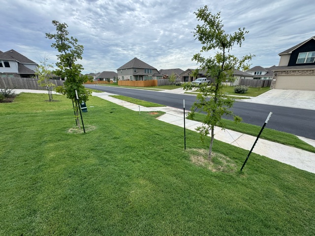 landscaping services near me